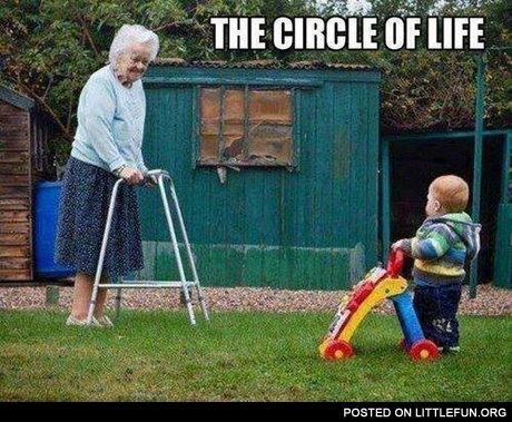 The circle of life