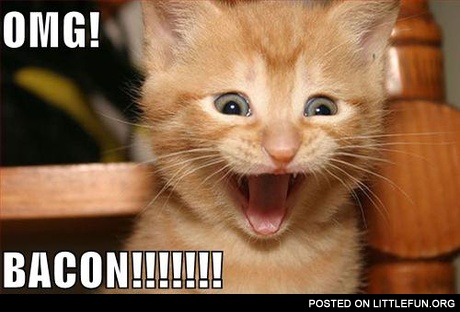 Omg! Bacon!!!