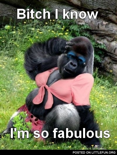 Fabulous gorilla