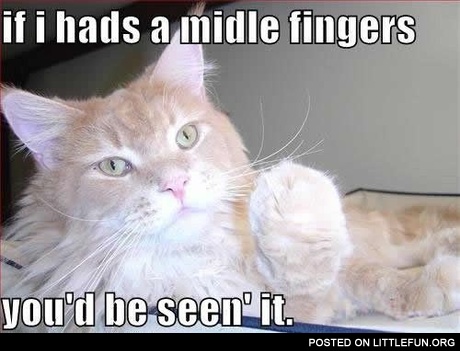 If I had a middle fingers