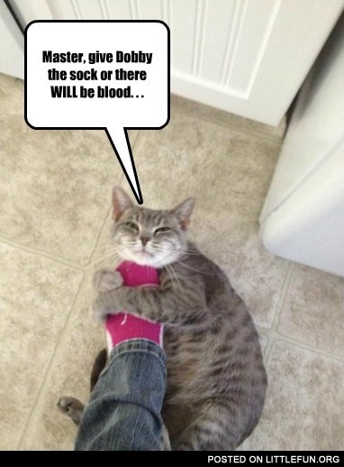 Master, give Dobby the sock
