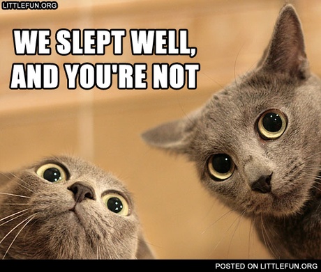 Lolcats. We slept well, and you're not.