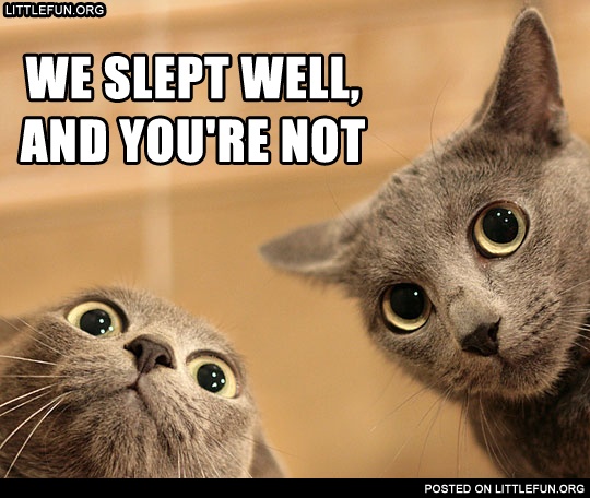 Lolcats. We slept well, and you're not.
