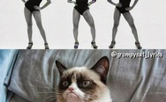 All the single ladies and the grumpy cat