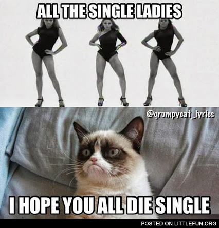 All the single ladies and the grumpy cat