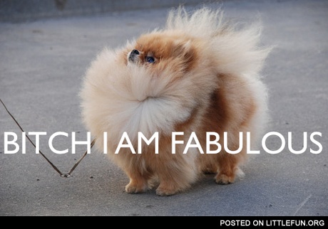 B*tch, I'm fabulous! D*ggy style.