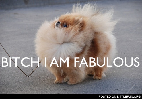 B*tch, I'm fabulous! D*ggy style.