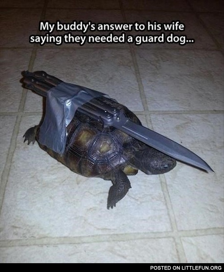 My buddy's answer to his wife saying they needed a guard dog