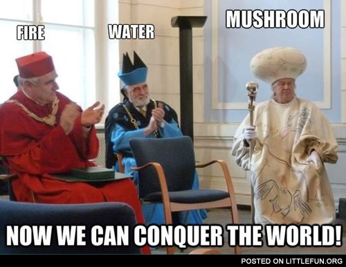 Fire, water, mushroom