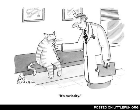 It's curiosity