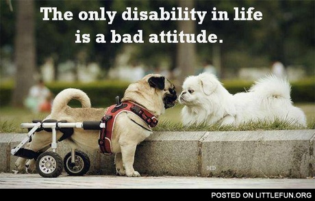 The only disability in life is a bad attitude