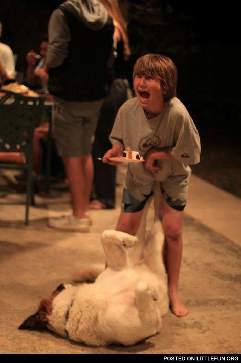 Happy Birthday, kid. The dog hitting the boy's nuts.
