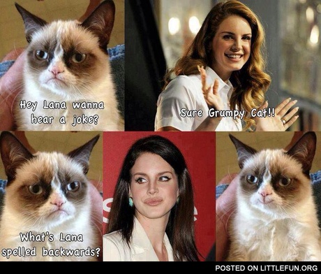 Hey Lana, wanna hear a joke?