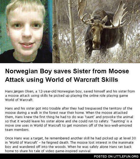 Norwegian boy saves sister from moose attack using World of Warcraft skills