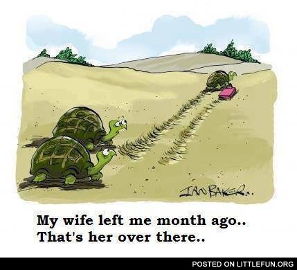 My wife left me month ago