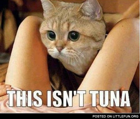 This isn't tuna