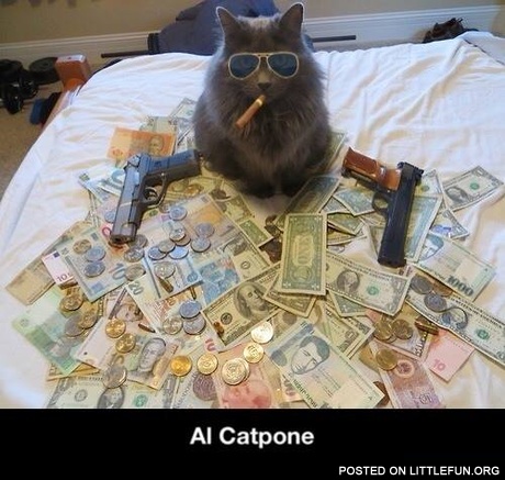 Al Catpone