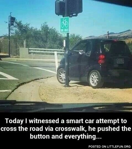 Today I witnessed a smart car attempt to cross the road via crosswalk