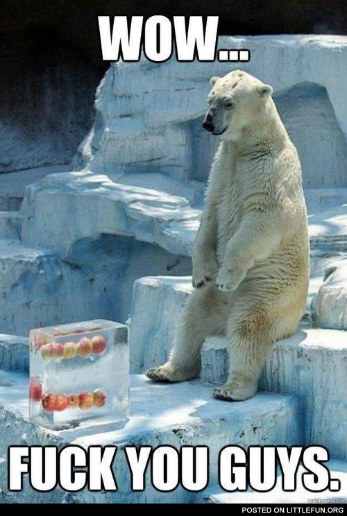 The polar bear and the apples in ice cube