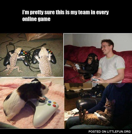 I'm pretty sure this is my team