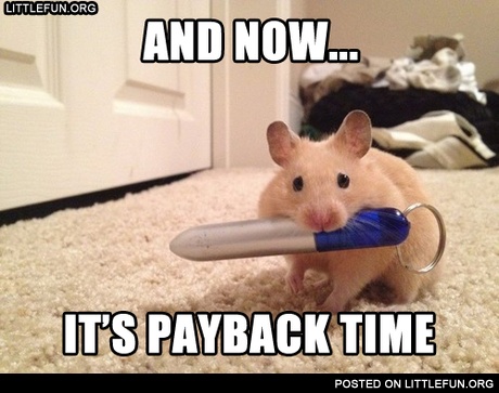 It's payback time. A mouse with a laser pointer.