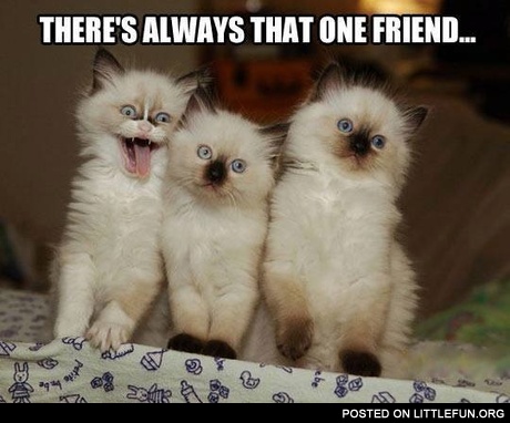 There's always that one friend. Cat photobomber.