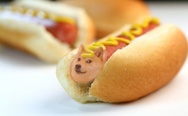 Hot doge