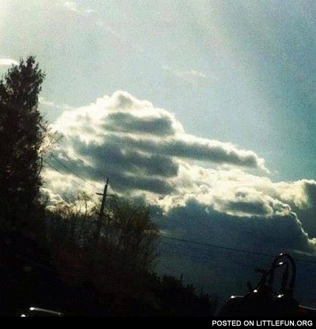 F**k you cloud