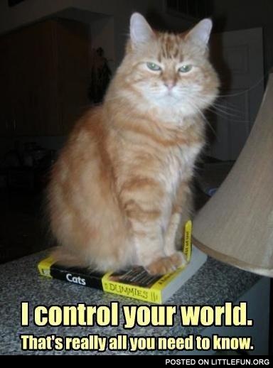 I control your world