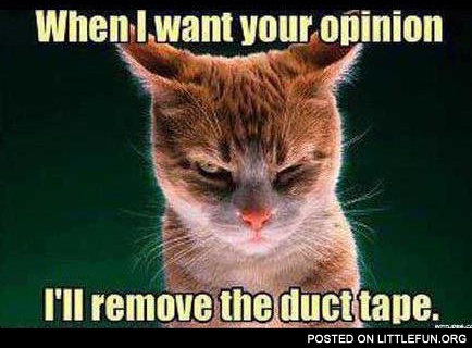 When I want your opinion I'll remove the duct tape