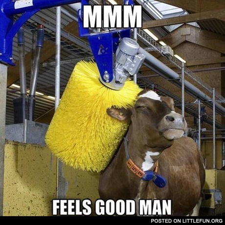 Mmm, feels good man. Happy cow.