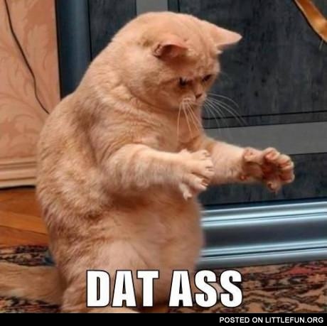 Dat ass. Red cat.
