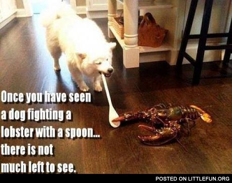 A dog fighting a lobster with a spoon