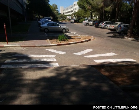 Crosswalk fail. You had one job.