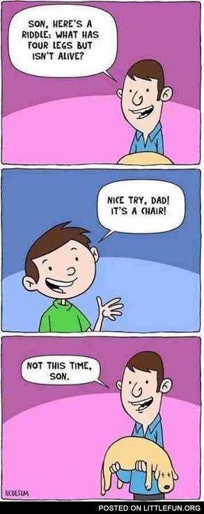 Son, here's a riddle, what has four legs but isn't alive?