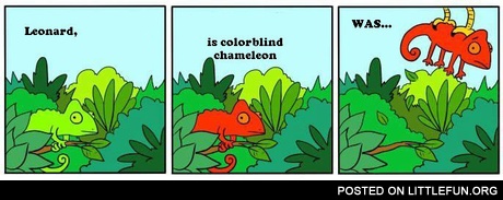 Leonard is colorblind chameleon. Was...