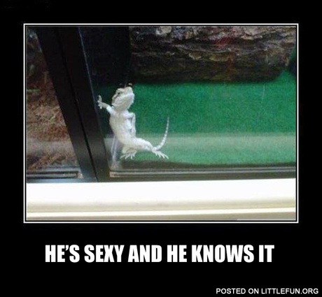 He's sexy and he knows it