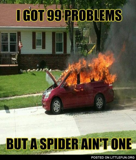 Burning car. I got 99 problems but a spider ain't one.