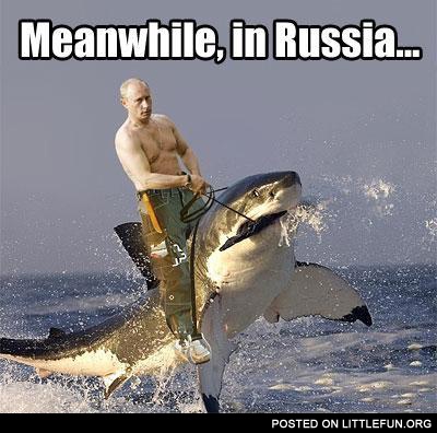 Meanwhile in Russia. Putin on the shark.