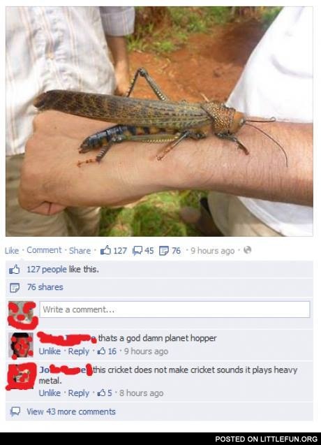 A giant cricket. That's a god damn planet hopper.