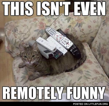 This isn't evev remotely funny