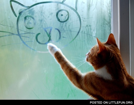 Cat drawing on a window