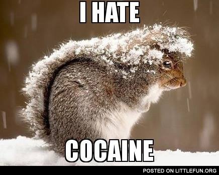 I hate cocaine. Squirrel.