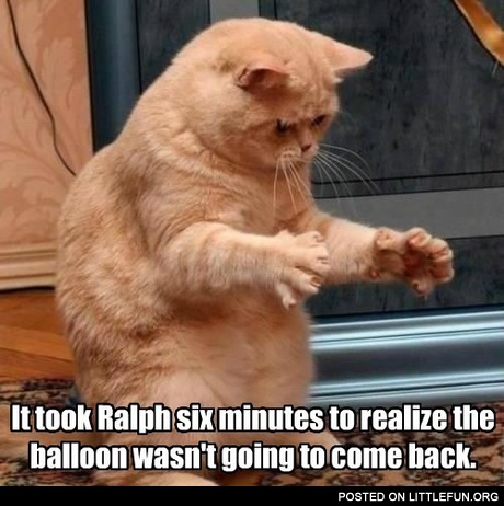 It took Ralph six minutes to realize the balloon wasn't going to come back