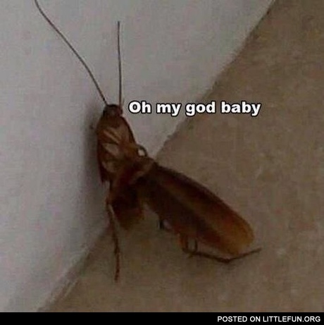F**king c*ckroaches. Oh my God, baby.