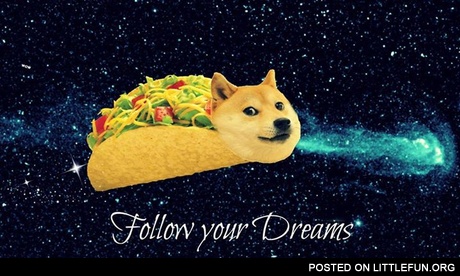 Follow your dream doge