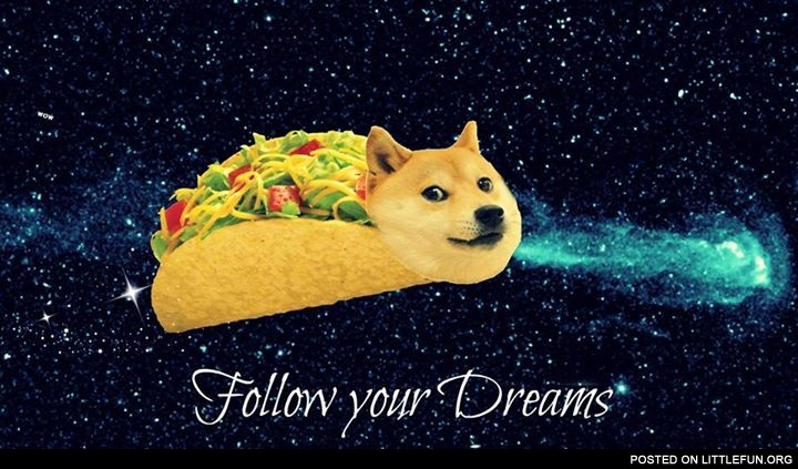 Follow your dream doge