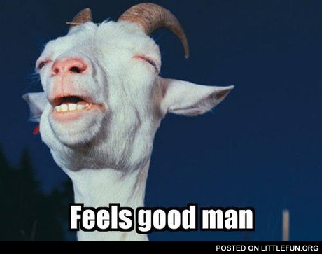 Feels good man. High goat.