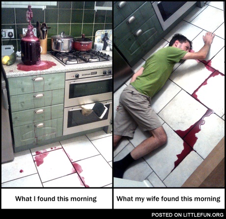 What my wife found this morning
