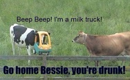 Beep beep! I'm a milk truck!